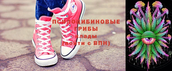 ПСИЛОЦИБИНОВЫЕ ГРИБЫ Волоколамск
