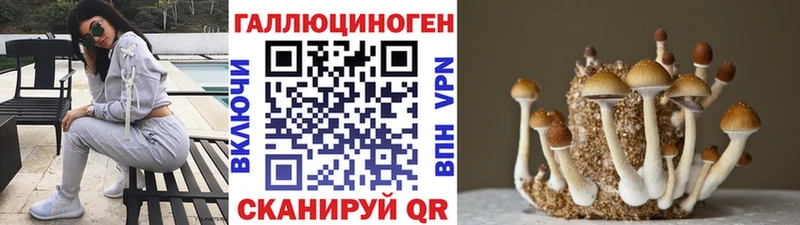 Галлюциногенные грибы мухоморы  где найти   Дигора 